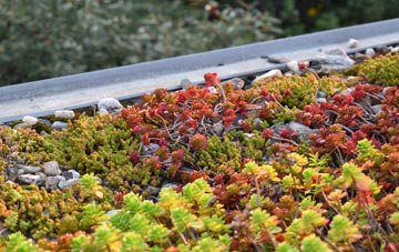 the cost of Hillfields green roof installation