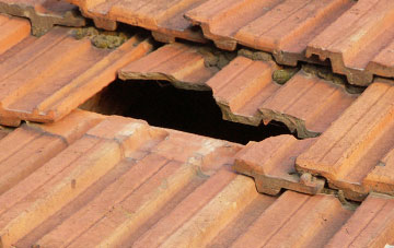 roof repair Hillfields
